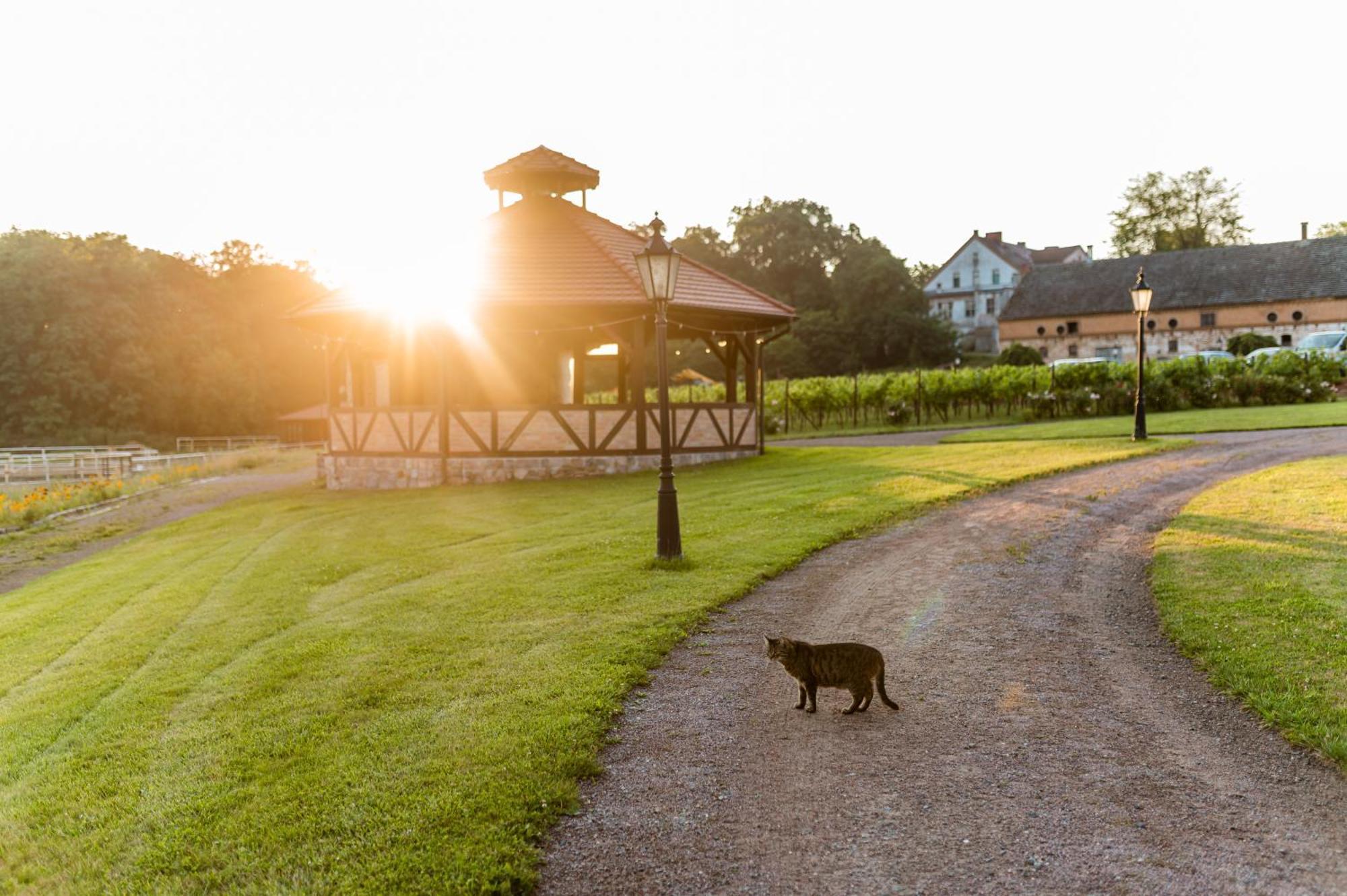 Folwark Pszczew Villa Bagian luar foto